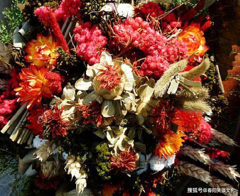 漳州_澳门一肖一码一一特一中厂,不可信领悟请全面释义、解释与落实