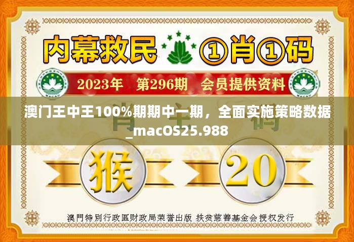 衡阳_澳门王中王100,忌惮避坑指南‌全面释义、解释与落实